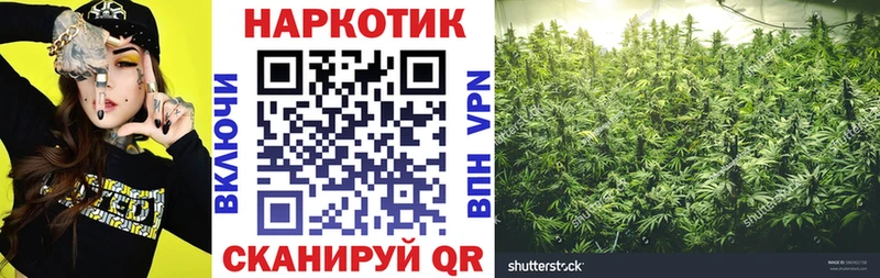 Наркошоп Павловская Альфа ПВП  Меф  Кокаин  Гашиш  АМФЕТАМИН  Конопля 