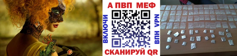 mega как зайти  Павловская  А ПВП Соль  магазин   