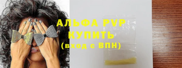 spice Инта