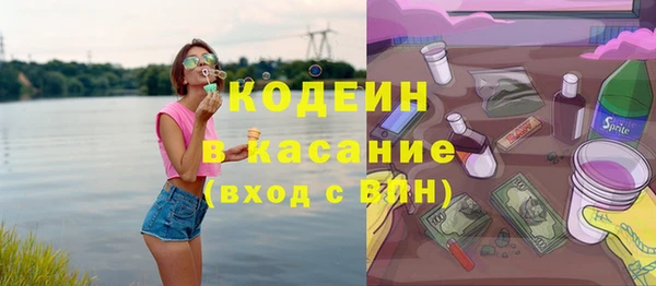 spice Инта