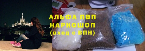 индика Орск