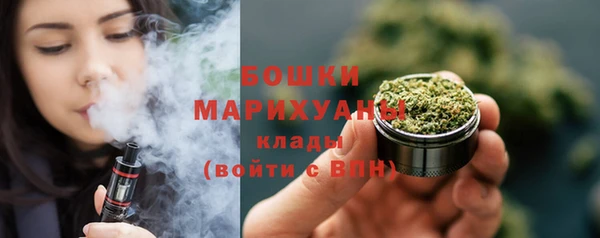 spice Инта