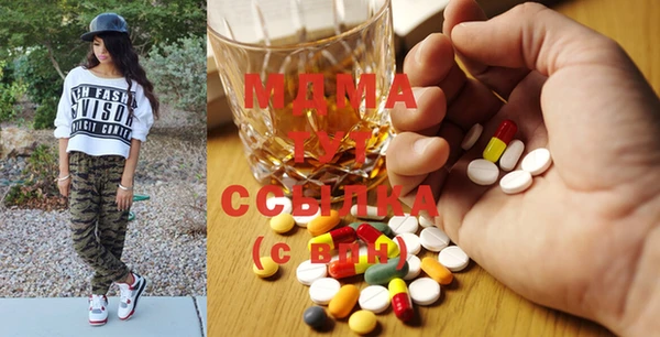 spice Инта