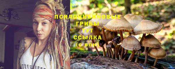 гашик Лагань