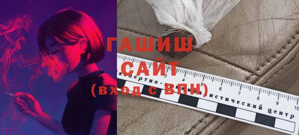 apvp Инсар