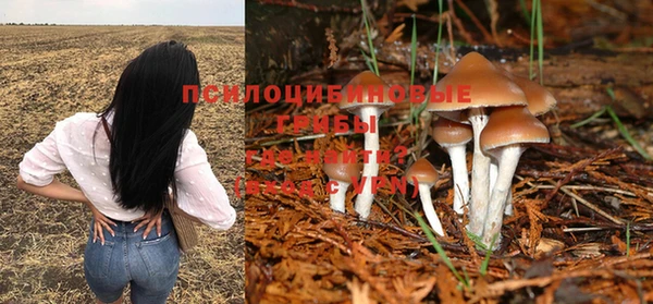 метамфетамин Ладушкин